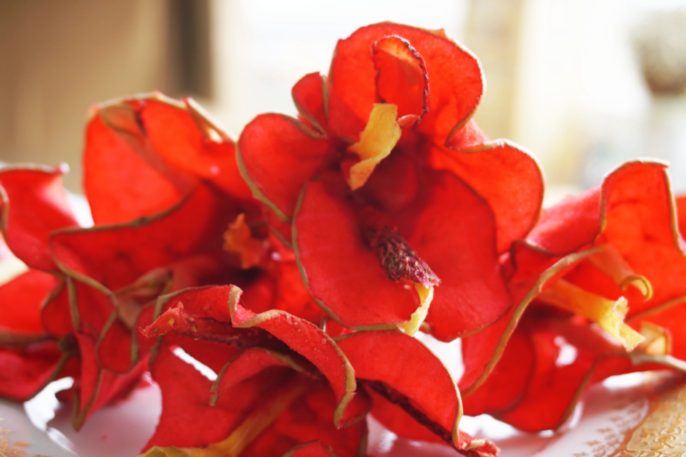 Scarlet Bougainvillea Bouquet