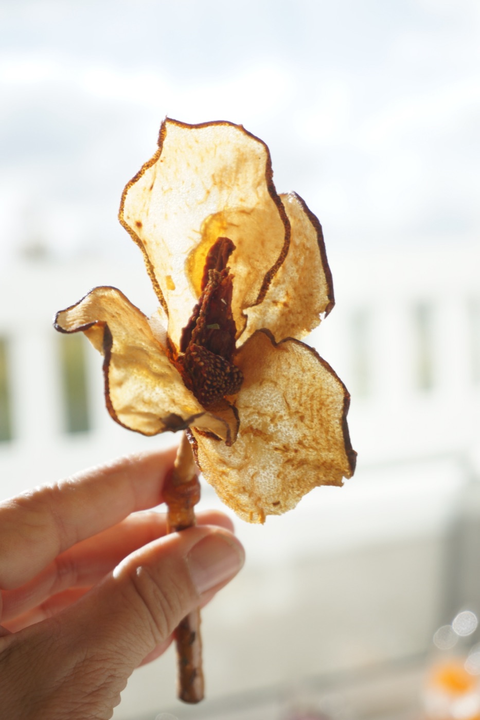 Pear Blossom Pitcher — 3